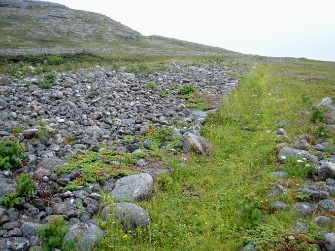 A constructed galet at Frenchman's Cove, Grey Island (EeAv-03, Feature 11), with carefully delimited rock boundaries along a well-used walkway.